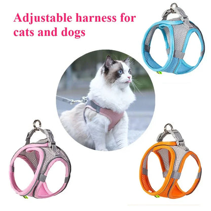 Cat Dog Toys for Aggressive Chewers Cats Dogs,Chew Squeak Toy Cats Dogs Interactive Plush Doll Pet Products