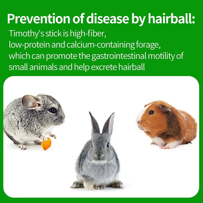 Pets Chewing Toys Carrot Timothy Hay Molar Sticks for Rabbits Guinea Pig Hamsters Chinchilla Bunny Chew Toys Teeth Treats