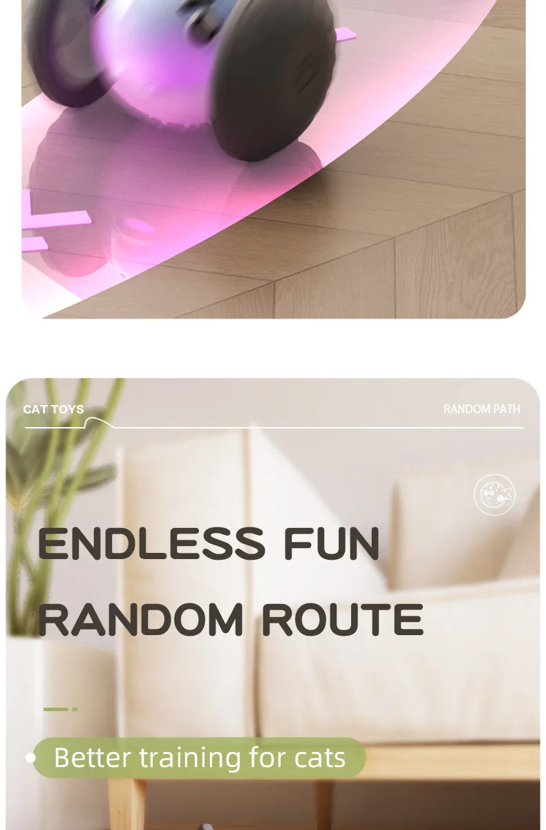 New pet self entertainment toy car, cat teasing tool, electric flying fish, intelligent running car, cat toy