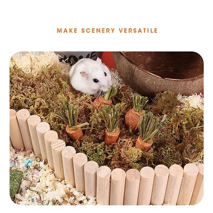 3pcs Guinea Pig Hamster Rabbit Teeth Fruit Grinding Small Pet Supplies Minerals Molar Stone Chew Toys for Chinchilla Dog Totoro