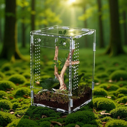 Reptile Enclosure Front Opening Escape Proof Habitat Acrylic Jumping Spider Habitat For Observation Home Pet Store Office