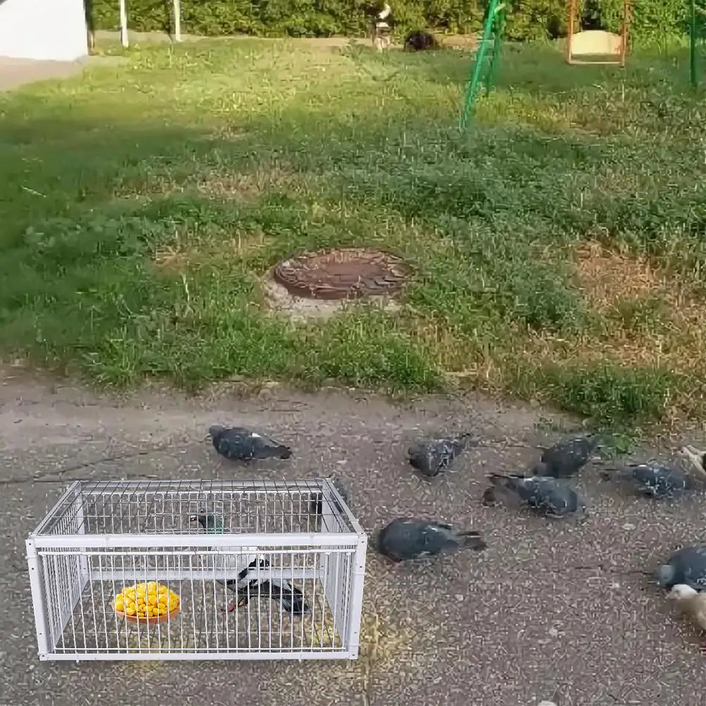 Auto Trap Bird Cage Rabbit Cage Mouse Cage Entry Only No Exit Thickened Encrypted Automatic Pigeon Collecting Portable Bird Cage