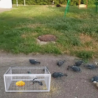 Auto Trap Bird Cage Rabbit Cage Mouse Cage Entry Only No Exit Thickened Encrypted Automatic Pigeon Collecting Portable Bird Cage