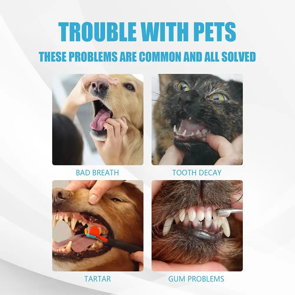 Pet Toothpaste for Cats & Dogs,Daily Oral Care Paste to Freshen Breath & Reduce Soft Plaque Buildup,Gentle Pet Dental Care Paste