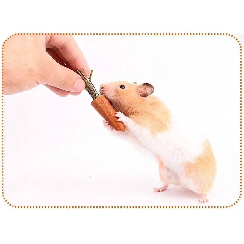 3pcs Guinea Pig Hamster Rabbit Teeth Fruit Grinding Small Pet Supplies Minerals Molar Stone Chew Toys for Chinchilla Dog Totoro