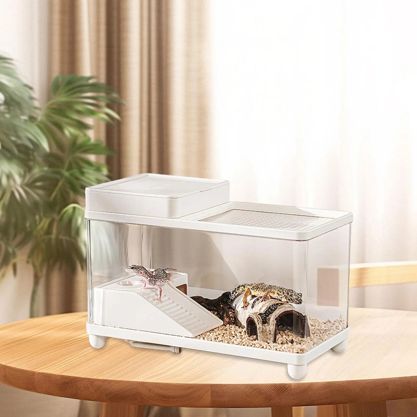 Large Turtle Tank Reptile Habitat Sturdy Terrarium for Terrapin Bearded Dragon Leopard Gecko Enclosure