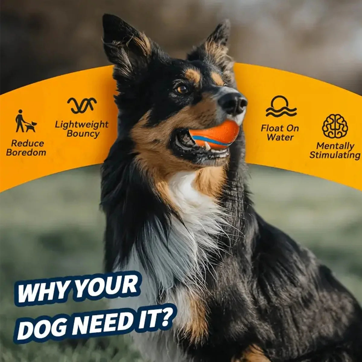 Interactive Rubber Bouncy Dog Ball Toy for Training and Relieve Boredom Dog Chewing Toy for Cleaning Teeth Pet Toys for All Dogs