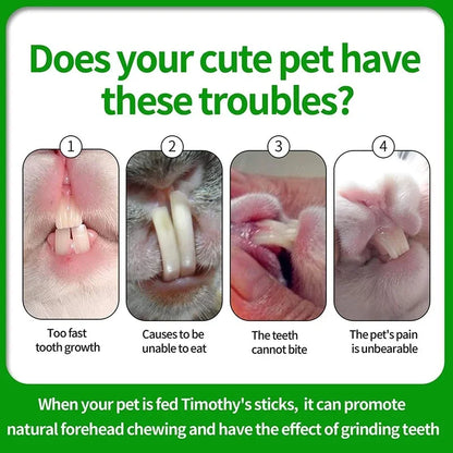 Pets Chewing Toys Carrot Timothy Hay Molar Sticks for Rabbits Guinea Pig Hamsters Chinchilla Bunny Chew Toys Teeth Treats