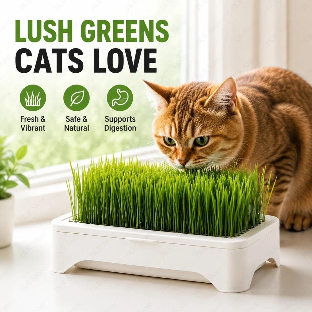 Pet Cat Grass Planting Pot Soilless Hydroponic Wheat Seedling Planter Kit for Kitten Indoor Gardening Horticultural Plant Use
