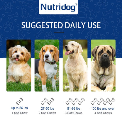 Flea & Tick Chews For Dog with Garlic Flaxseed | Skin Health Support & Bites Prevention - Chicken flavor 120 Soft Chews