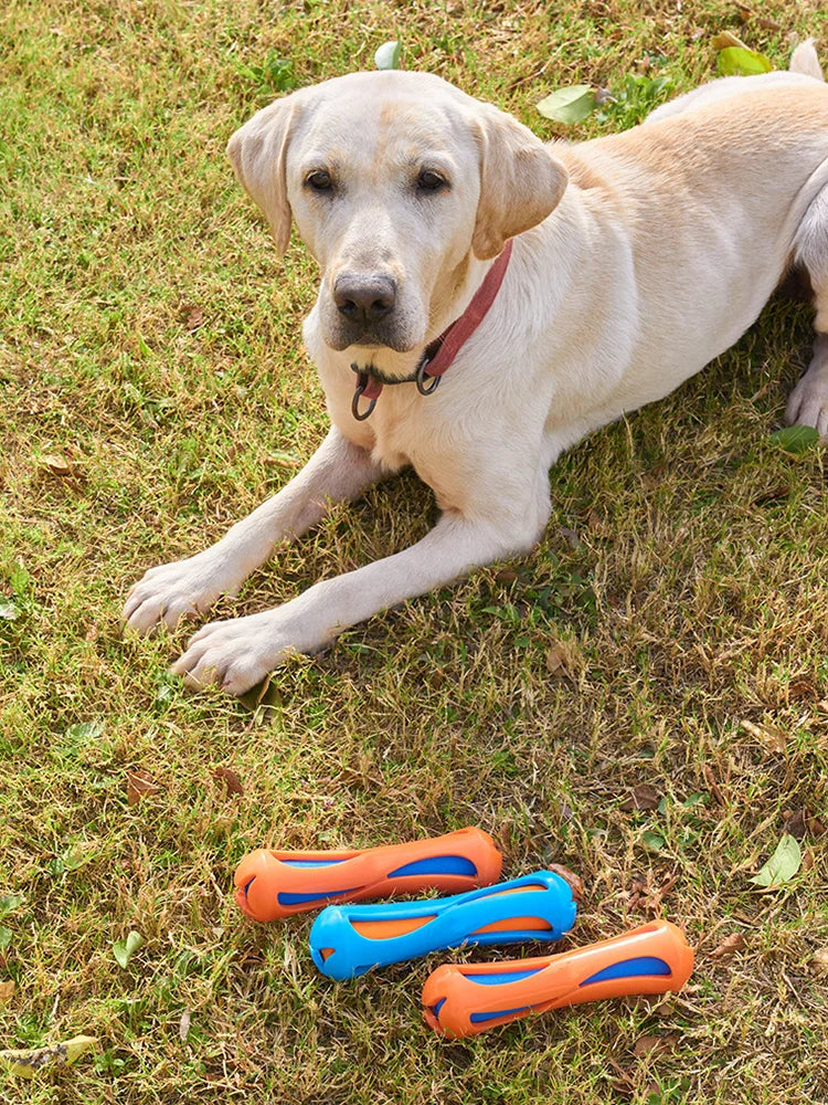 Pet Dog Floating Water Toy TPR Rubber Durable Interactive Training Relieve Boredom Swimming Throw Toy Outdoor Dog Chew Toys