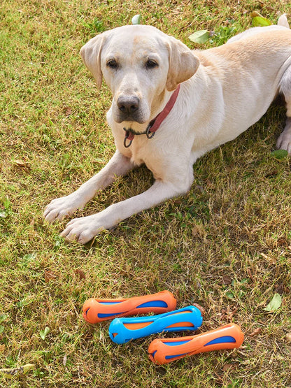 Pet Dog Floating Water Toy TPR Rubber Durable Interactive Training Relieve Boredom Swimming Throw Toy Outdoor Dog Chew Toys