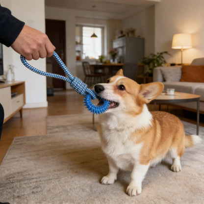 Dog Chew Toy Pet Tug Toy, Pet Interactive Training Toy for Small and Medium Dogs, Inside the room Training toy