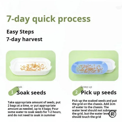 Hydroponic Cat Grass Box Cat Treats Catnip Hydroponic Soilless Planting Cat Grass Pot Set for Easy Growth