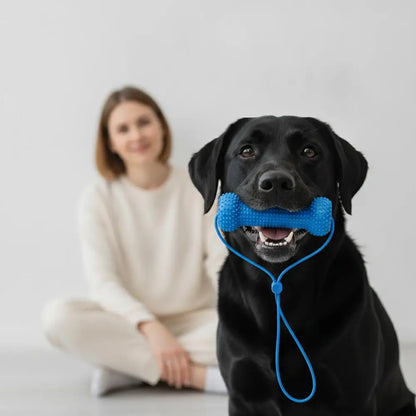 Dog Chew Toy Interactive Tug Rope Toy Quiet Durable Plastic Chew Stick With Gum Massage Nubs For Small Medium Dogs