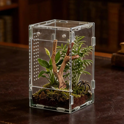 Reptile Enclosure Front Opening Escape Proof Habitat Acrylic Jumping Spider Habitat For Observation Home Pet Store Office