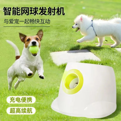 Pet Tennis Tee Machine Dog Supplies Outdoor Interactive Training Automatic Leak Food Launcher Toy