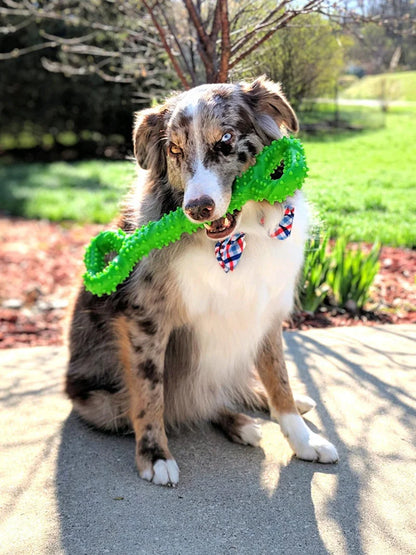 Pet Toys, Dog Toys, Durable Chew Sticks, Bones, Golden Retriever, Border Collie, Labrador, Large Dog Boredom-Relief Toys