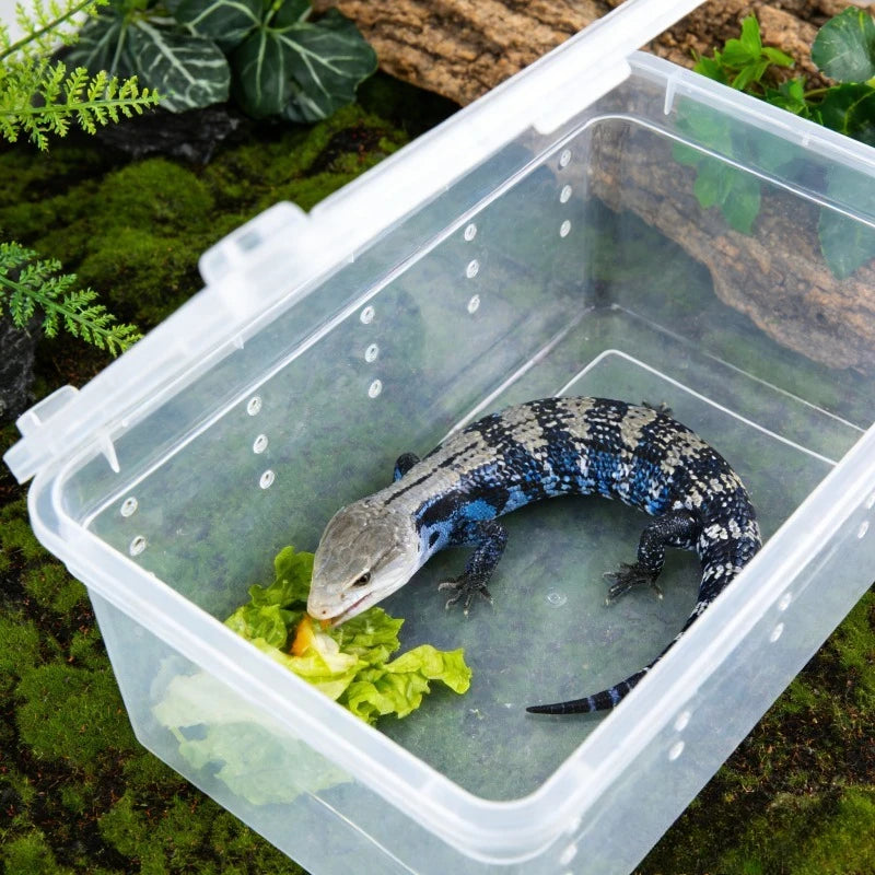 Reptile Breeding Box Terrarium Turtle Tank Silkworm Spider Horned Frog Gecko Lizard Snail Cage Portable Habitat Enclosure