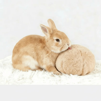 Bite Resistant Rabbit Soothing Ball Simulated Rabbit Buttocks Plush Pet Chewable Ball Comfortable Soft Rabbit Venting Ball