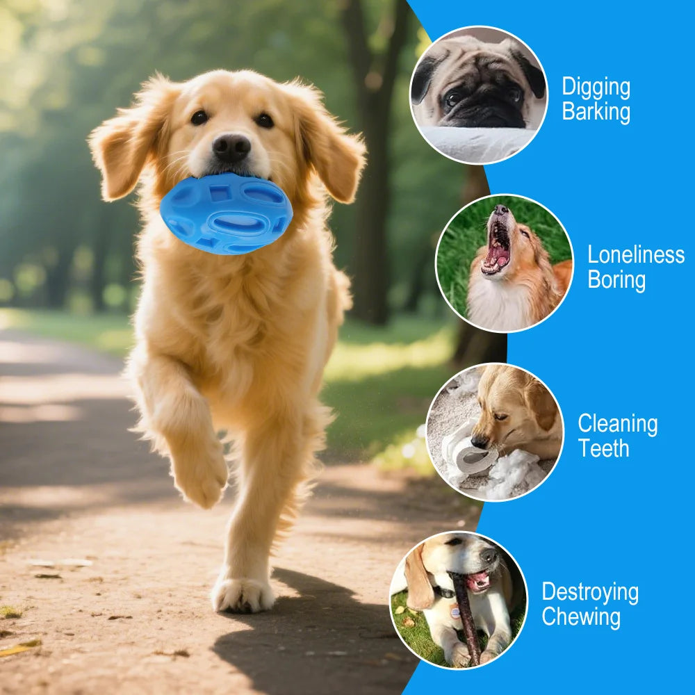 New Dog Toy Ball High Quality Rubber Sounding Olive Balls Super Durable Teeth Sharpening Chewing Training Toys Pet Supplies