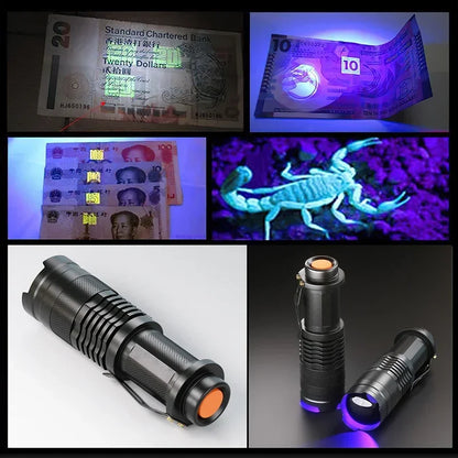 UV LED Flashlight 395nm Blacklight | Portable Pet Urine Detector & Scorpion Finder