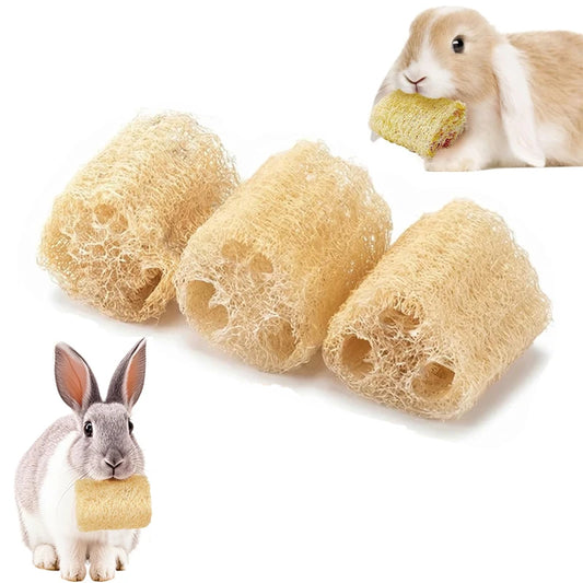 2PCS Rabbit Chew Toys, Natural Loofah Bunny Chew Toys for Teeth Cleaning, Small Animals Foraging Toy for Bunny Chinchilla