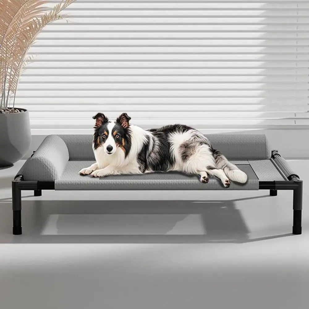 Pet Furniture Mesh Elevated Dog Beds Breathable Removable Raised Dog Bed with Pillow Outside Dog Bed Cat Patio Sunbathing