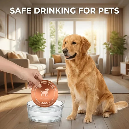 Copper Pet Water Purifier Filter , Suitable for Pet Prevention, Reusable,Easy to Use Pet Dog Cat Chicken Cow Water Purifier