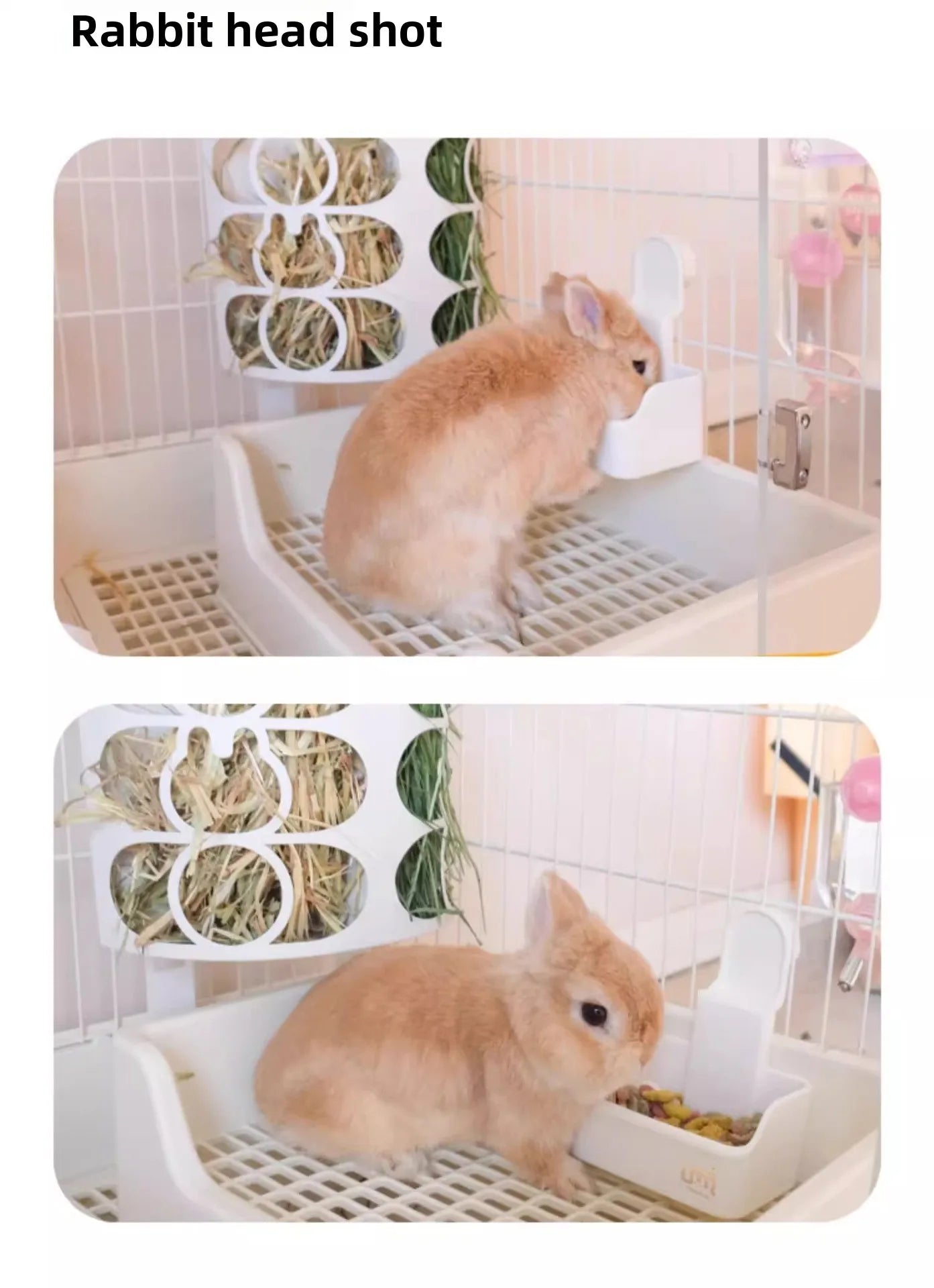Large-capacity Rabbit Food Bowl with Secure Base Durable and Bite-resistant