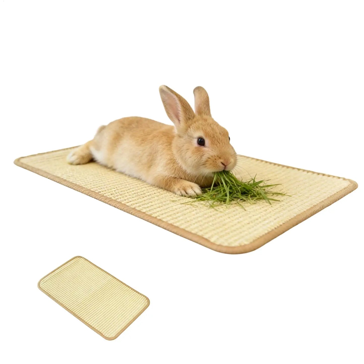 Rabbit Scratching Mat Indoor Foraging Scratcher Rug 15.7x23.6 In Scratch Board For Cage Hutch Floor Home Resting Biting Sleeping