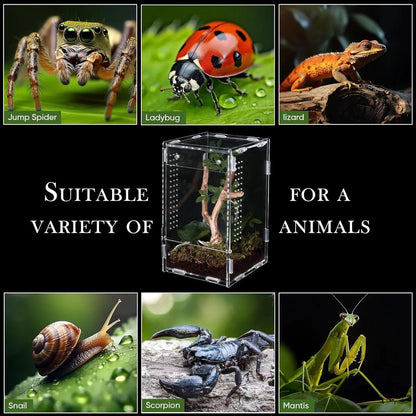 Reptile Enclosure Front Opening Escape Proof Habitat Acrylic Jumping Spider Habitat For Observation Home Pet Store Office