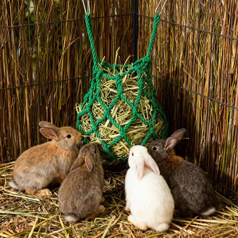 Hanging Rabbit Hay Feeder Ball Holder Food Rack Durable Cage Small Pet Feeding Bowl for Hedgehog Ferret Gerbils Pets Supplies