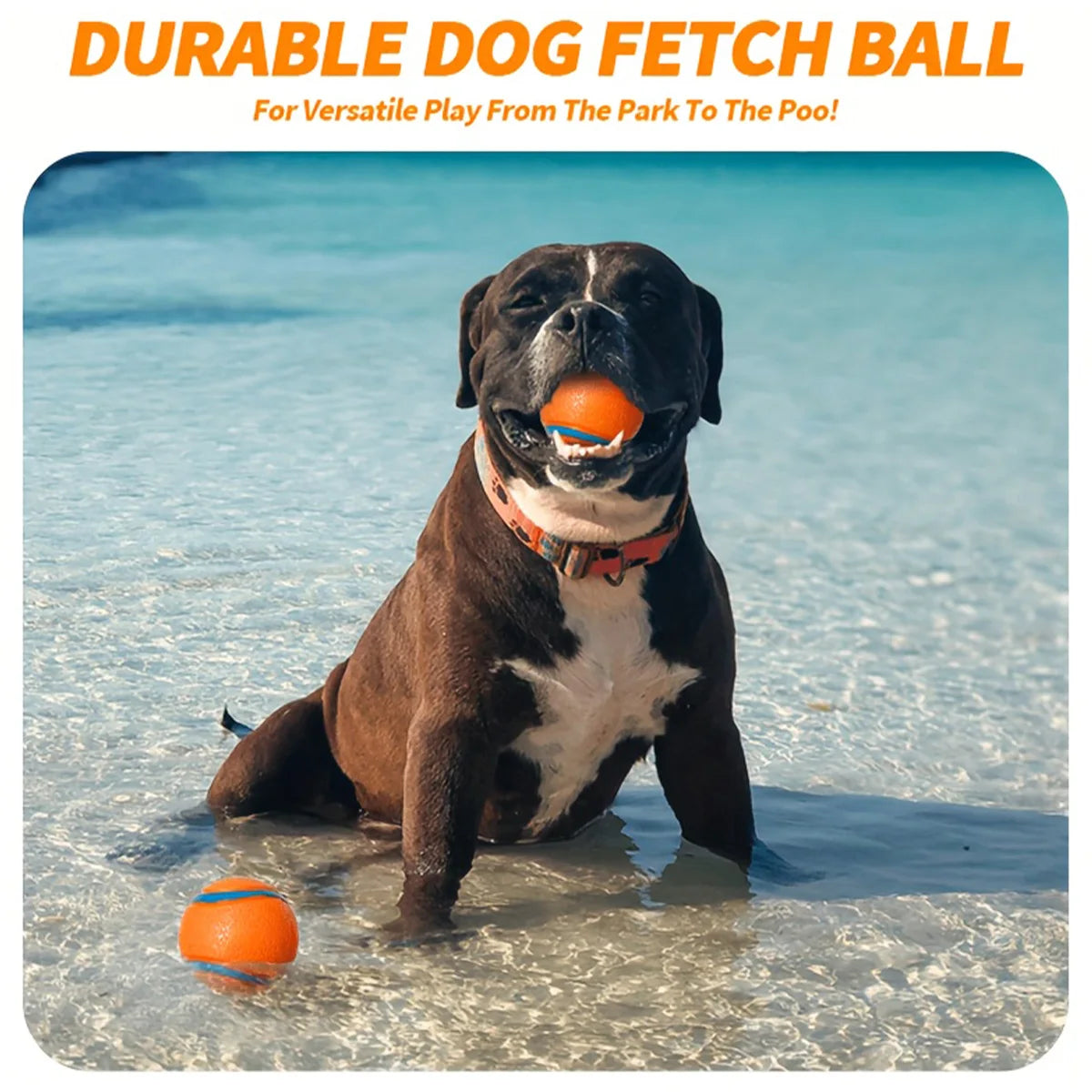 Interactive Rubber Bouncy Dog Ball Toy for Training and Relieve Boredom Dog Chewing Toy for Cleaning Teeth Pet Toys for All Dogs