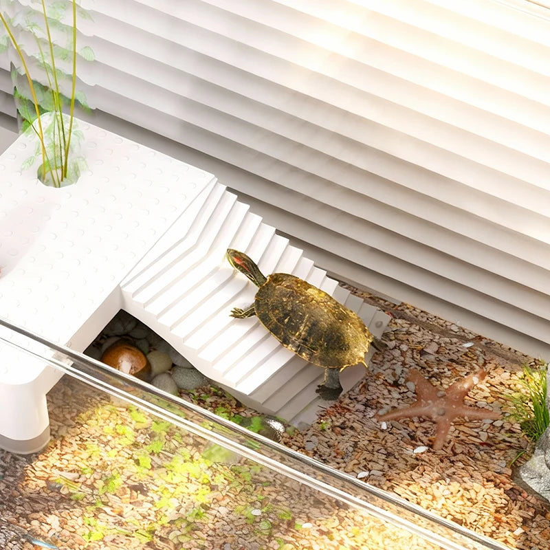 Transparent Reptile Terrarium Tank with Basking Area for Pet Turtles Hermit Crabs Tortoises - Turtle Adoption Habitat