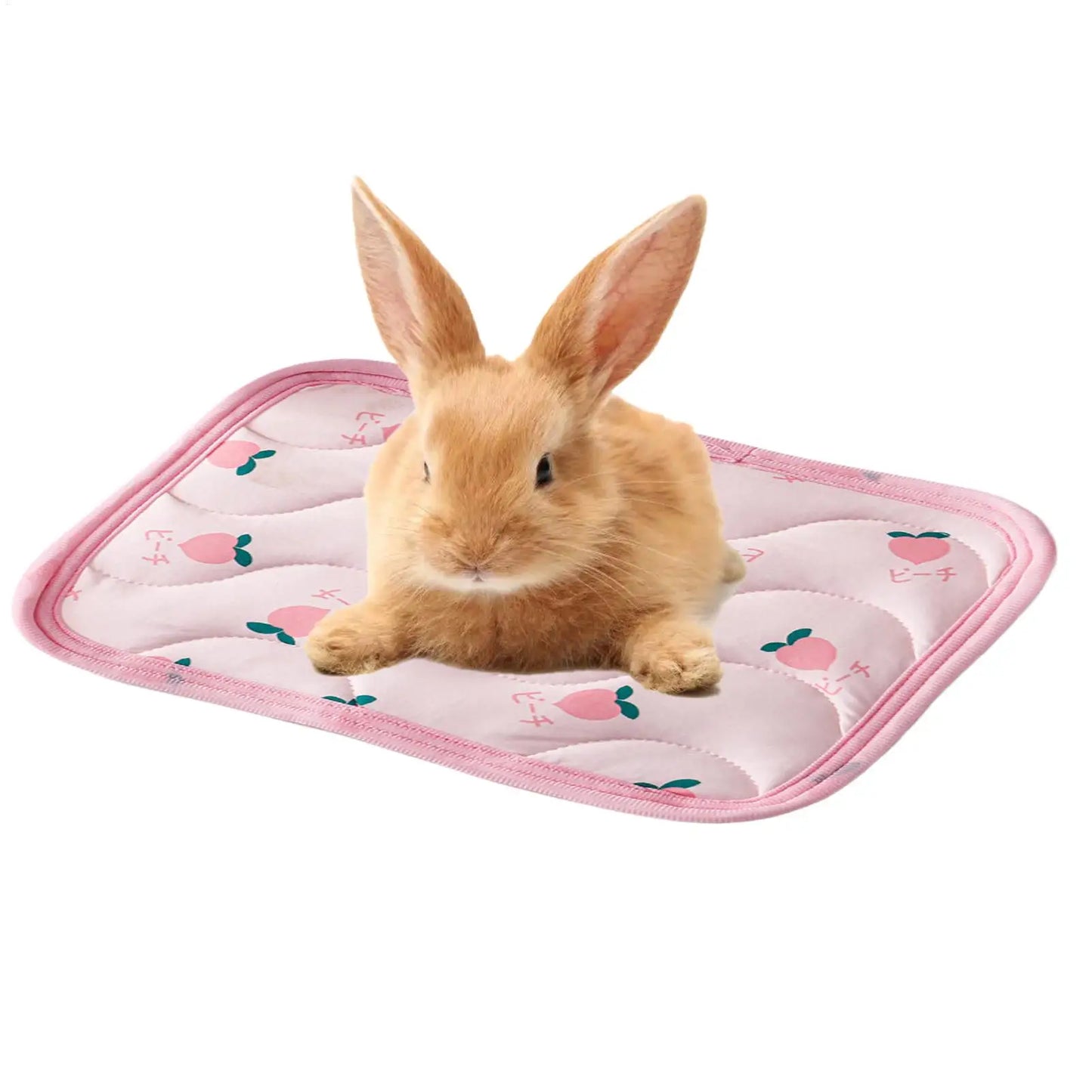 Pet Cooling Mat Summer Pet Cold Bed  For Small Dogs Cat Durable Blanket Sofa Cat Ice Pad summer Blanket Pet Accessories