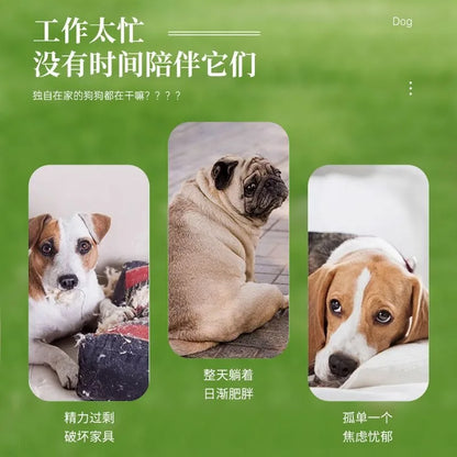 Pet Tennis Tee Machine Dog Supplies Outdoor Interactive Training Automatic Leak Food Launcher Toy