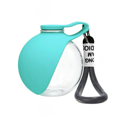 Plastic pet water bottle, outdoor preparation with pink and blue foldable bowls,