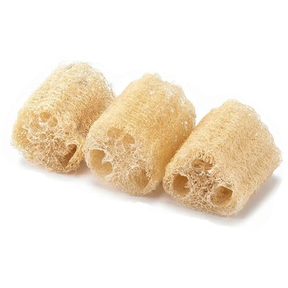 2PCS Rabbit Chew Toys, Natural Loofah Bunny Chew Toys for Teeth Cleaning, Small Animals Foraging Toy for Bunny Chinchilla