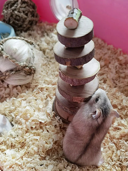 Hamster Rabbit Chew Toy Natural Wood Sticks for Small Pet Chinchilla Guinea Pigs Squirrels Tooth Grinding Toy Pet Supplies