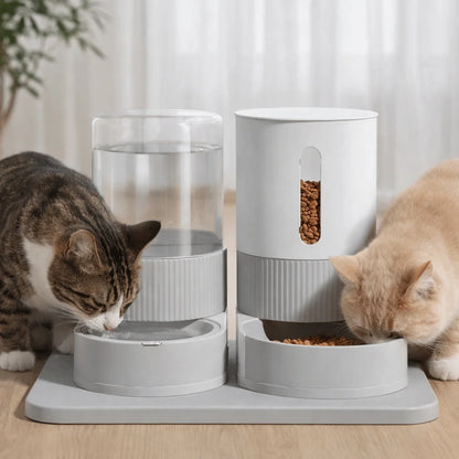 Transparent Automatic Pet Feeder Large Capacity Detachable Pet Water Dispenser Plastic Spill Proof Pet Water Fountain