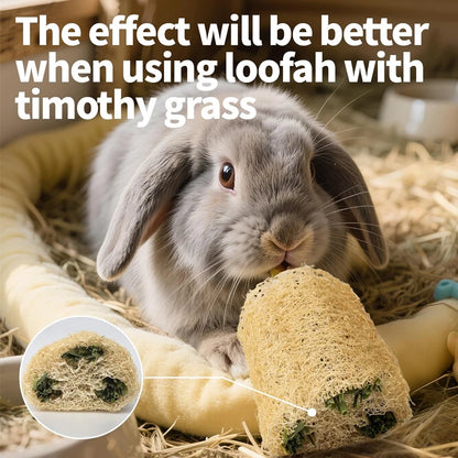 2PCS Rabbit Chew Toys, Natural Loofah Bunny Chew Toys for Teeth Cleaning, Small Animals Foraging Toy for Bunny Chinchilla