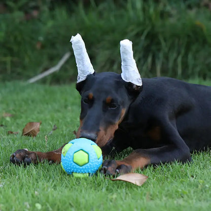 Pet TPR Toy Ball Interaction Pets Relieving Boredom Bite Resistance Small Medium-sized Dog Grinding Sleeping Venting Ball Flash