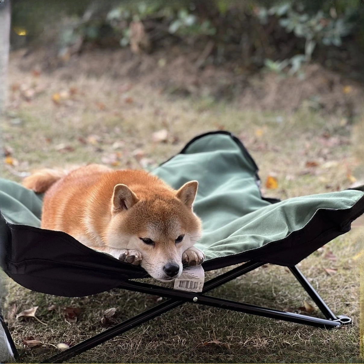 Outdoor Camping Foldable Pet Bed Comfortable Detachable Pads Waterproof Bite Resistant Portable Kennel for Cats and Dogs