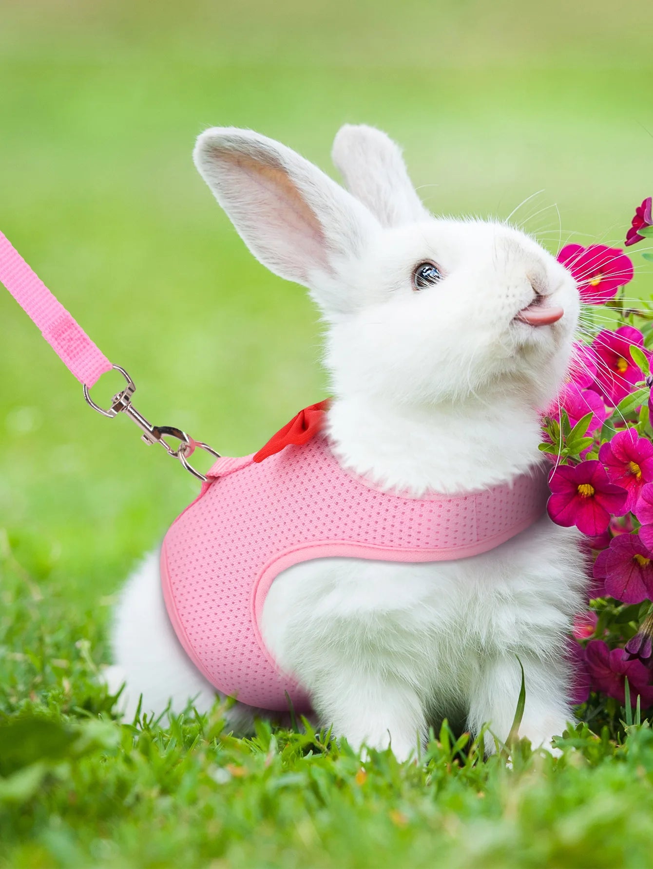 Rabbit Harness Soft Mesh Small Pet No Pull Comfort Padded Vest for Bunny Guinea Pigs Squirrels and Other Small Animal