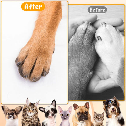 Round Dog Nail Scratch Board 360° Rotating Dog Scratch Pad with Snack Compartments Interactive Pet Toy Pet Supplies Accessories