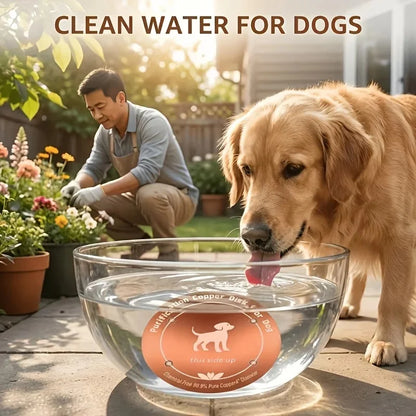 Copper Pet Water Purifier Filter , Suitable for Pet Prevention, Reusable,Easy to Use Pet Dog Cat Chicken Cow Water Purifier