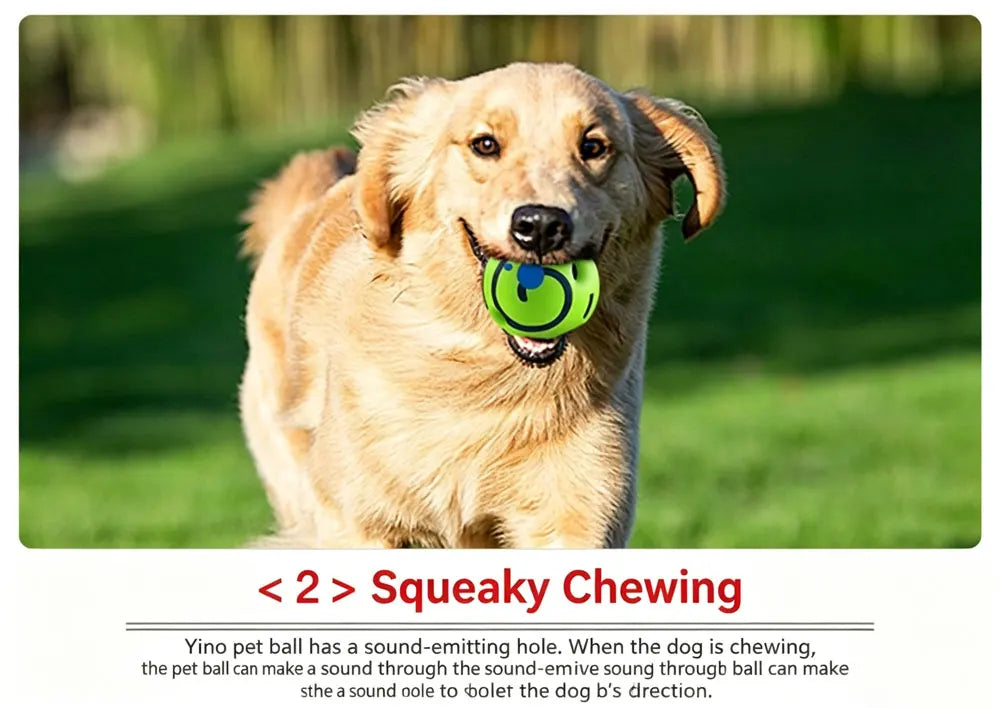 Medium-sized And Large-sized Dogs' Sounding Toys Are Boredom-relieving Artifacts, And Dogs' Self-raising Sounding Balls Are Resi