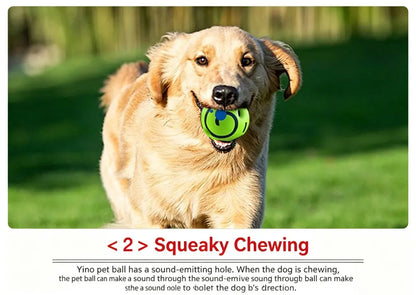 Medium-sized And Large-sized Dogs' Sounding Toys Are Boredom-relieving Artifacts, And Dogs' Self-raising Sounding Balls Are Resi
