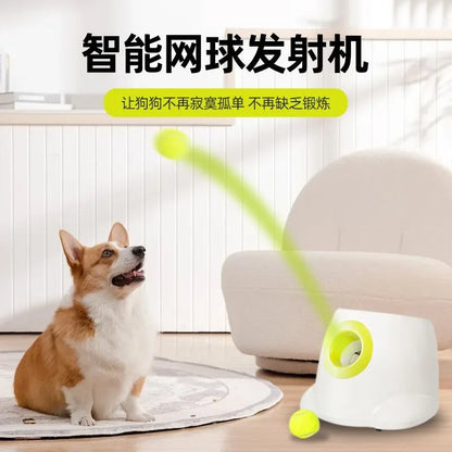 Pet Tennis Tee Machine Dog Supplies Outdoor Interactive Training Automatic Leak Food Launcher Toy